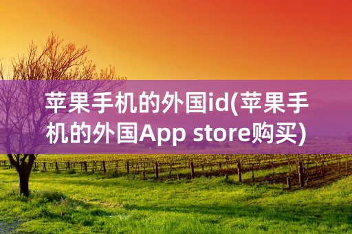 苹果手机的外国id(苹果手机的外国App store购买)