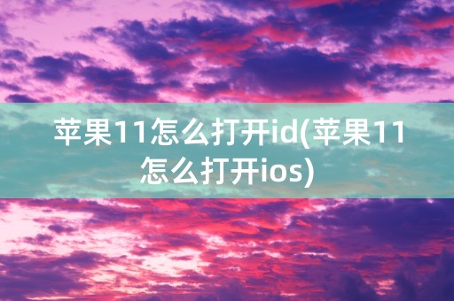 苹果11怎么打开id(苹果11怎么打开ios)