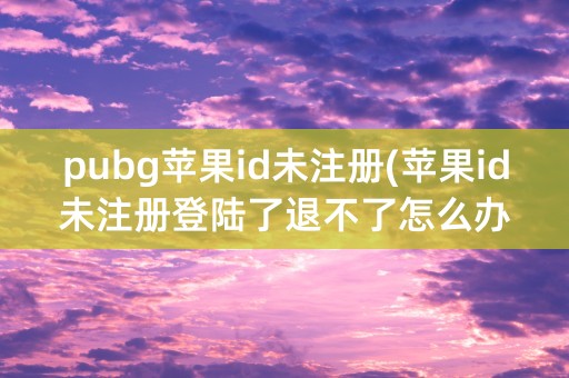 pubg苹果id未注册(苹果id未注册登陆了退不了怎么办)