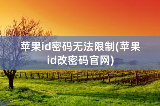 苹果id密码无法限制(苹果id改密码官网)