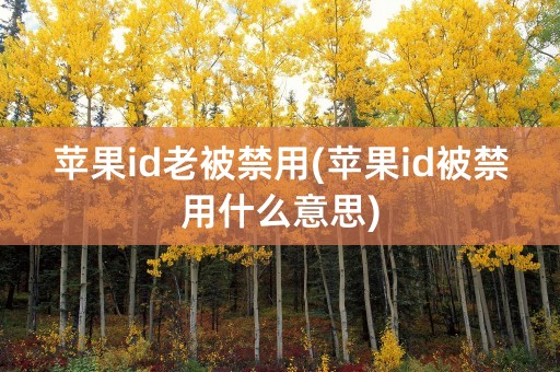 苹果id老被禁用(苹果id被禁用什么意思)