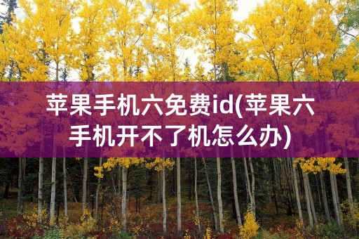 苹果手机六免费id(苹果六手机开不了机怎么办)