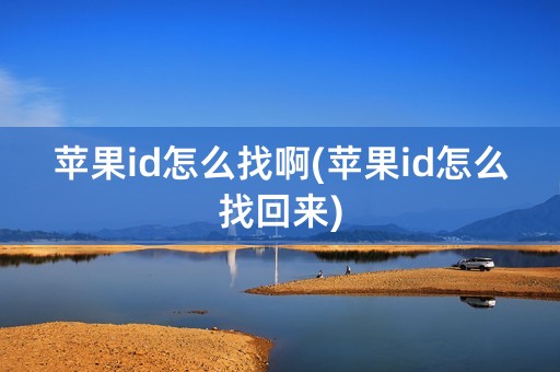 苹果id怎么找啊(苹果id怎么找回来)