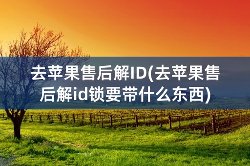 去苹果售后解ID(去苹果售后解id锁要带什么东西)