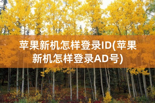 苹果新机怎样登录ID(苹果新机怎样登录AD号)