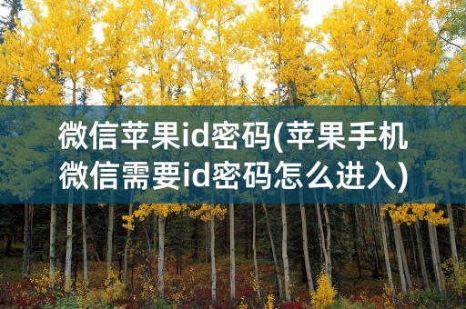 微信苹果id密码(苹果手机微信需要id密码怎么进入)