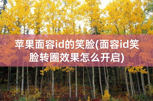 苹果面容id的笑脸(面容id笑脸转圈效果怎么开启)