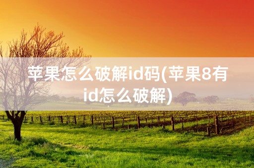 苹果怎么破解id码(苹果8有id怎么破解)