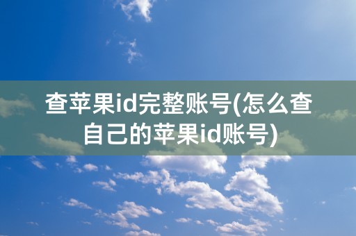 查苹果id完整账号(怎么查自己的苹果id账号)