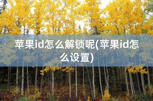 苹果id怎么解锁呢(苹果id怎么设置)