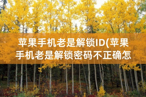 苹果手机老是解锁ID(苹果手机老是解锁密码不正确怎么回事)