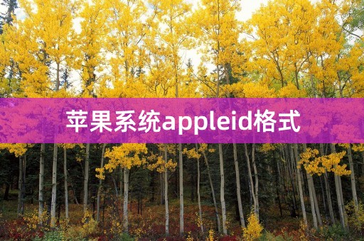 苹果系统appleid格式