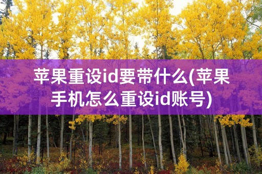 苹果重设id要带什么(苹果手机怎么重设id账号)