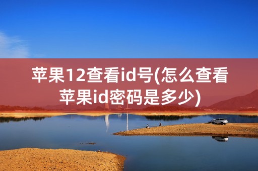 苹果12查看id号(怎么查看苹果id密码是多少)