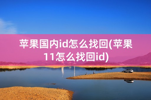 苹果国内id怎么找回(苹果11怎么找回id)