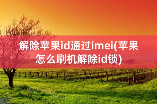 解除苹果id通过imei(苹果怎么刷机解除id锁)