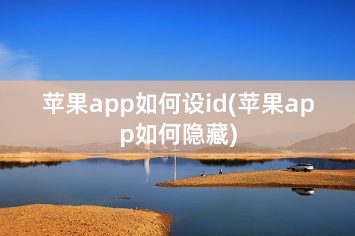 苹果app如何设id(苹果app如何隐藏)