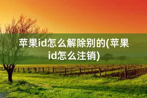 苹果id怎么解除别的(苹果id怎么注销)