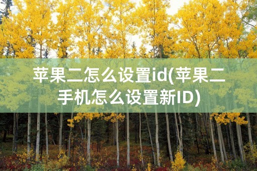 苹果二怎么设置id(苹果二手机怎么设置新ID)