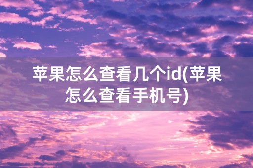 苹果怎么查看几个id(苹果怎么查看手机号)