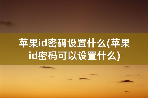 苹果id密码设置什么(苹果id密码可以设置什么)