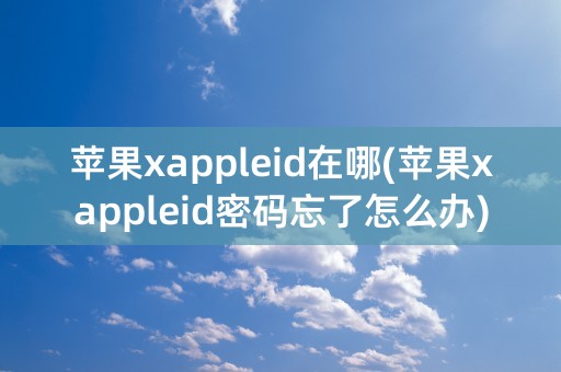 苹果xappleid在哪(苹果xappleid密码忘了怎么办)