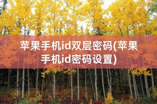 苹果手机id双层密码(苹果手机id密码设置)