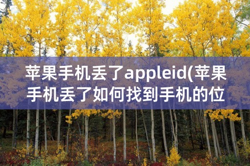 苹果手机丢了appleid(苹果手机丢了如何找到手机的位置)