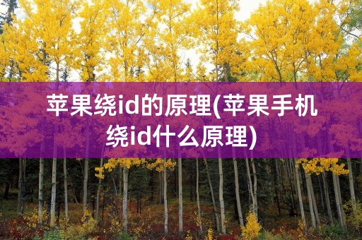 苹果绕id的原理(苹果手机绕id什么原理)