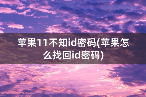 苹果11不知id密码(苹果怎么找回id密码)