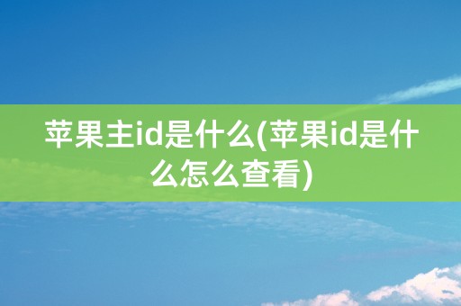 苹果主id是什么(苹果id是什么怎么查看)