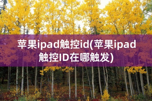 苹果ipad触控id(苹果ipad触控ID在哪触发)