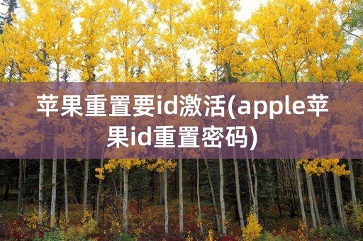 苹果重置要id激活(apple苹果id重置密码)