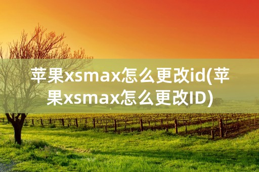 苹果xsmax怎么更改id(苹果xsmax怎么更改ID)