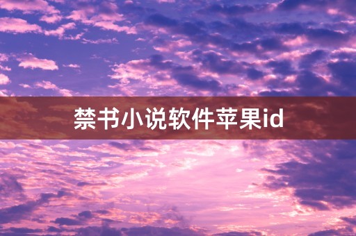 禁书小说软件苹果id