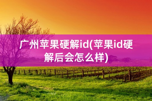 广州苹果硬解id(苹果id硬解后会怎么样)