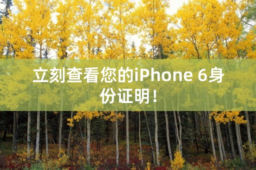 立刻查看您的iPhone 6身份证明！