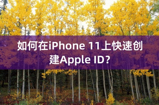 如何在iPhone 11上快速创建Apple ID？