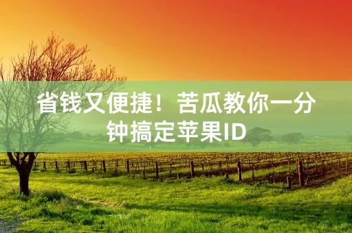 省钱又便捷！苦瓜教你一分钟搞定苹果ID