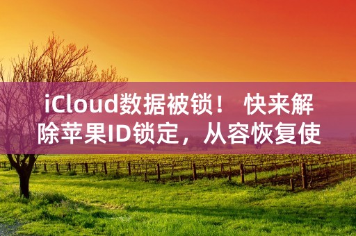 iCloud数据被锁！ 快来解除苹果ID锁定，从容恢复使用吧！