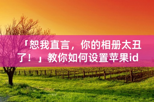 「恕我直言，你的相册太丑了！」教你如何设置苹果id相册，美美哒秀出你的生活！