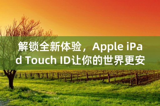 解锁全新体验，Apple iPad Touch ID让你的世界更安全！