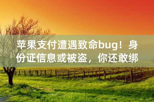 苹果支付遭遇致命bug！身份证信息或被盗，你还敢绑卡付款吗？