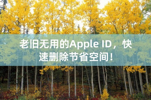 老旧无用的Apple ID，快速删除节省空间！