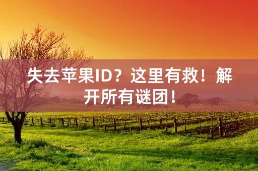 失去苹果ID？这里有救！解开所有谜团！