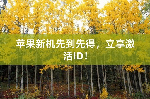 苹果新机先到先得，立享激活ID！