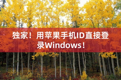 独家！用苹果手机ID直接登录Windows！