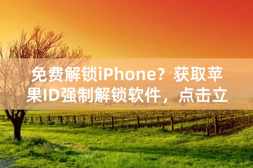 免费解锁iPhone？获取苹果ID强制解锁软件，点击立即解锁！