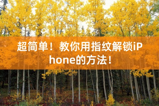 超简单！教你用指纹解锁iPhone的方法！