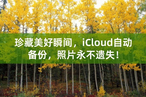 珍藏美好瞬间，iCloud自动备份，照片永不遗失！